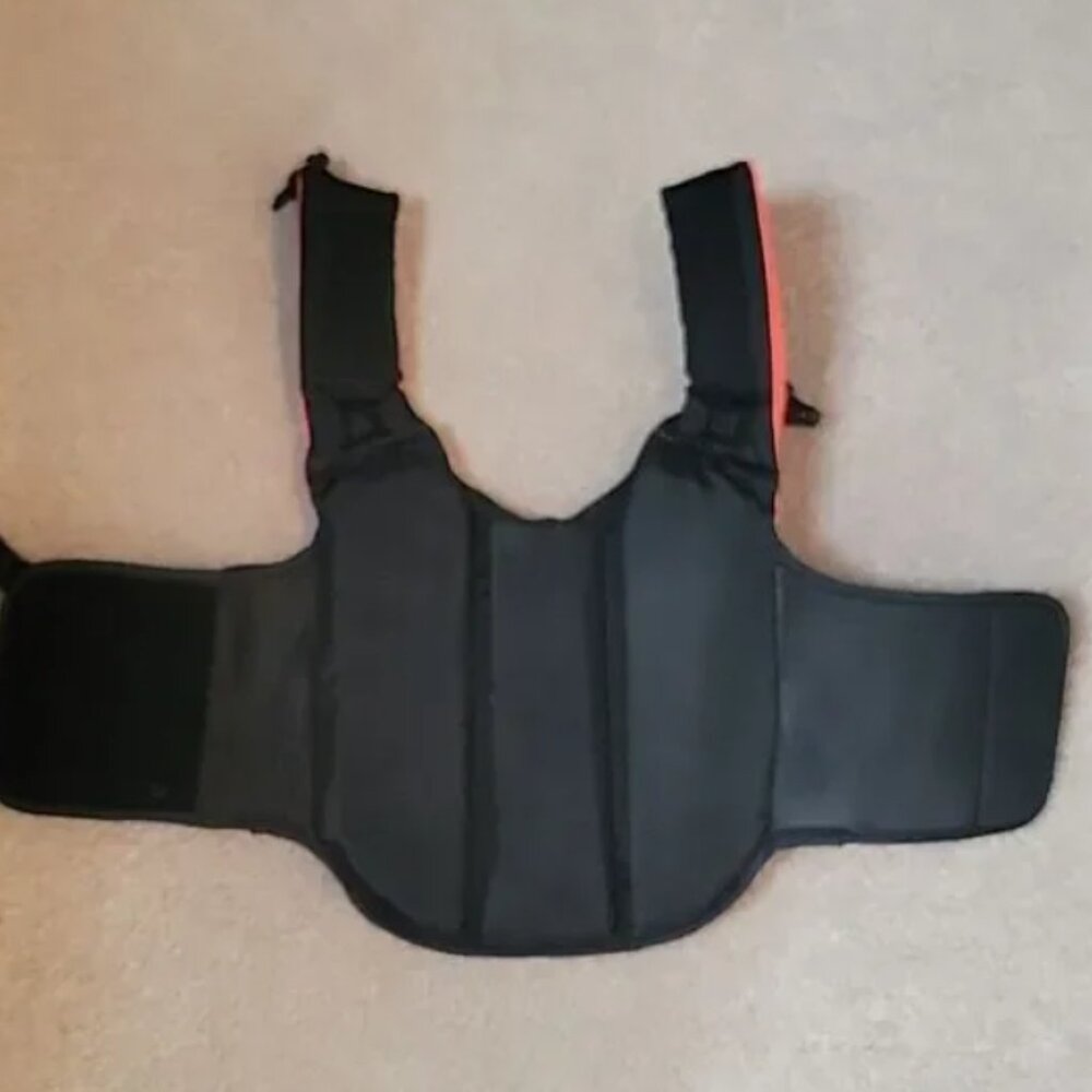 swim Outward Hound doggie life preserver